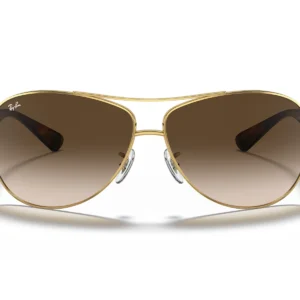 Gafas de Sol Ray-Ban RB3386 001/13 marco dorado, lentes café degradé