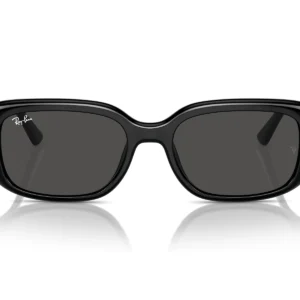 Gafas de sol Ray-Ban RB4421D 667787 marco negro y lentes gris